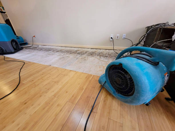 Professional Sewage Cleanup technician working in Big Sandy, TX